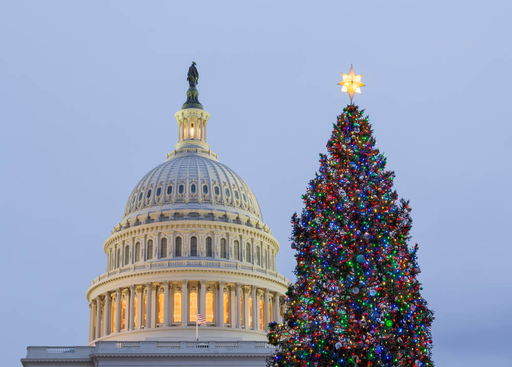 US Capitol Christmas Tree Lighting goDCgo